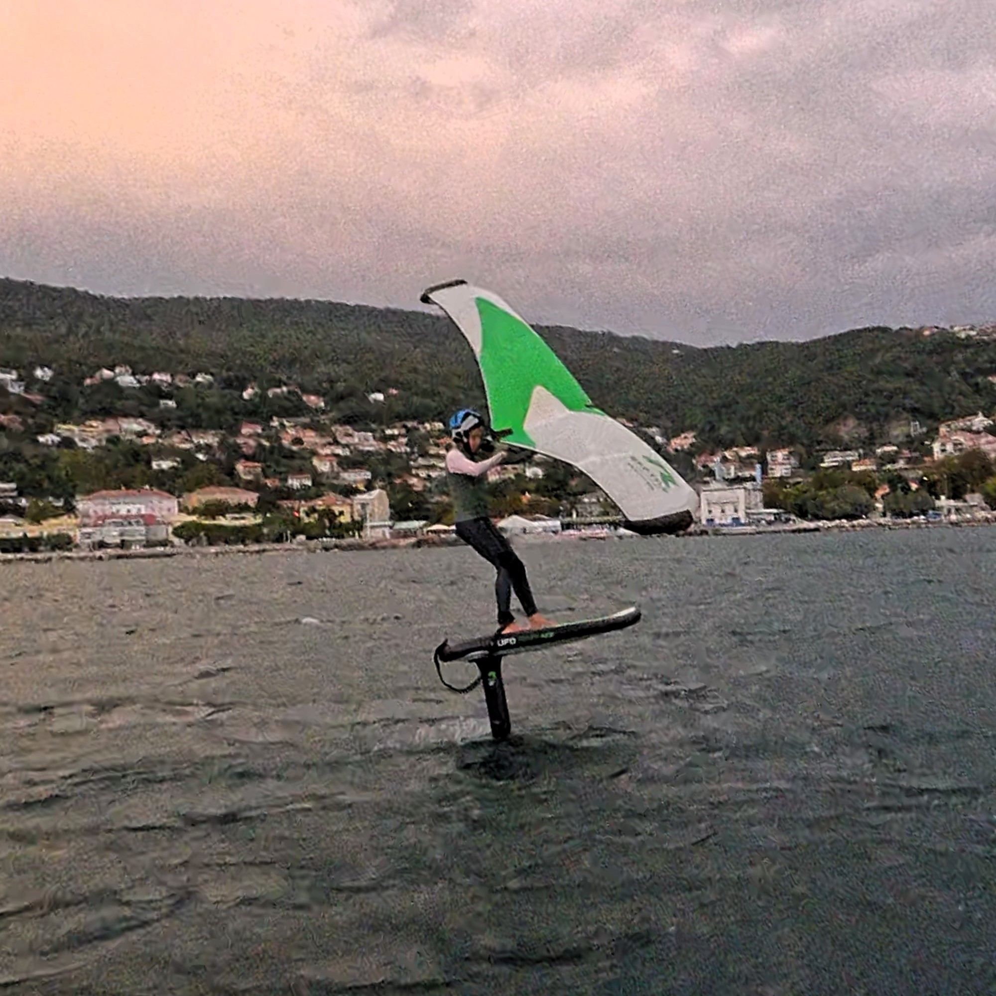 wing foil reptile alpha